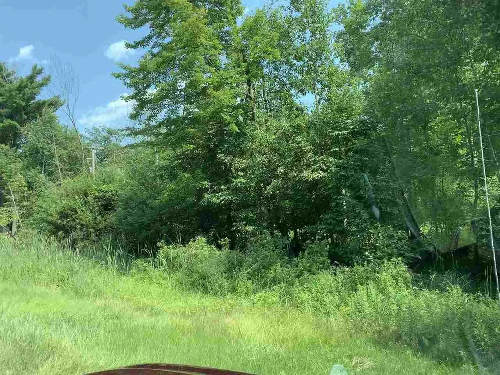 -0- S Huron Sims Township MI 48703