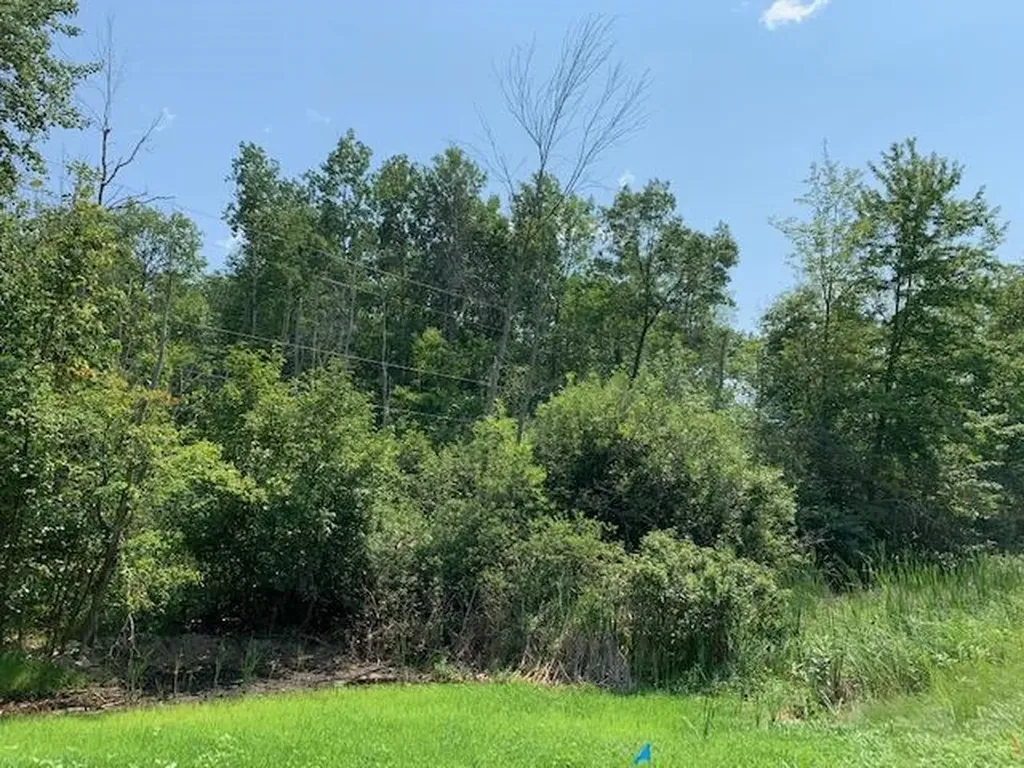 -0- S Huron Sims Township MI 48703