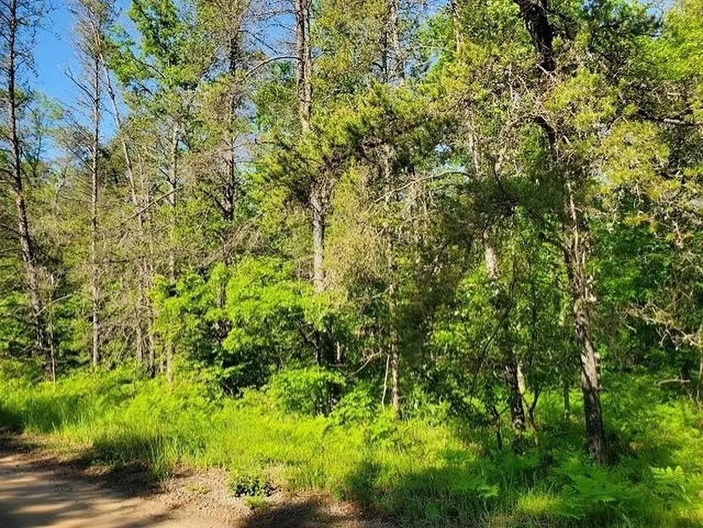 0 Quigley Road Mills Township MI 48610