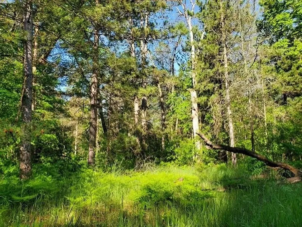 0 Quigley Road Mills Township MI 48610