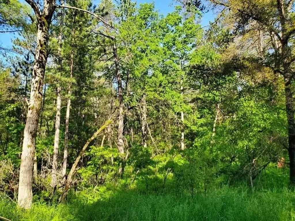 0 Quigley Road Mills Township MI 48610