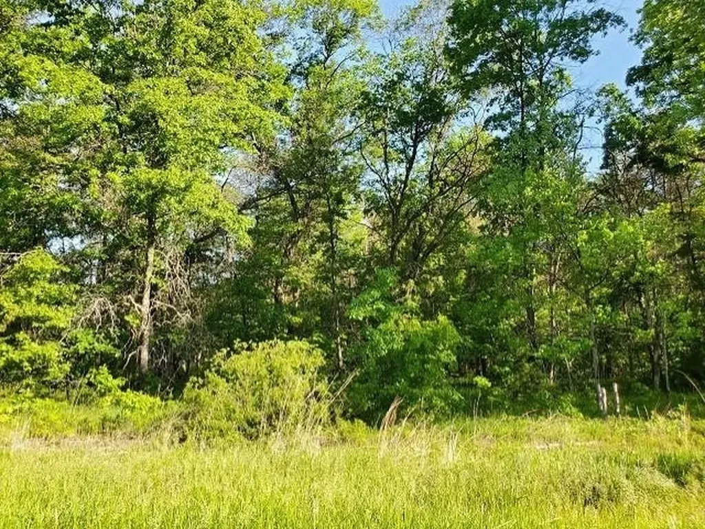 0 Quigley Road Mills Township MI 48610