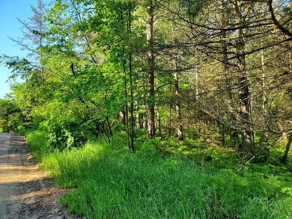 0 Quigley Road Mills Township MI 48610