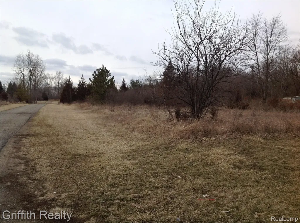 Vl Mason Road Howell Township MI 48843