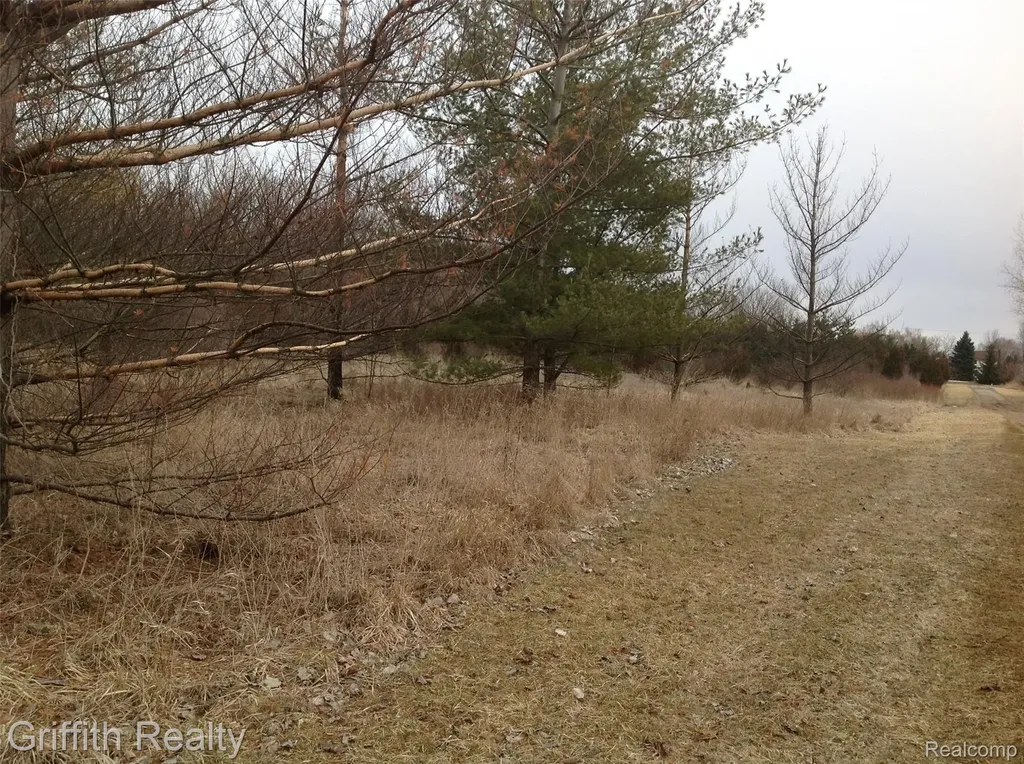 Vl Mason Road Howell Township MI 48843