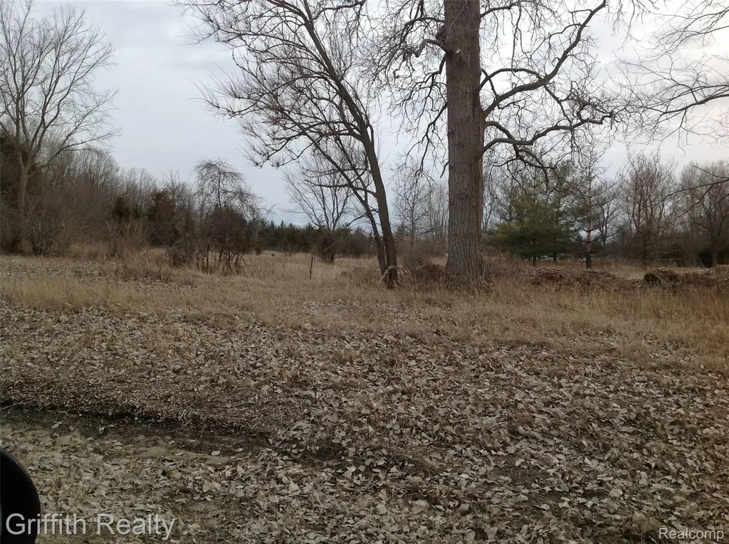 Vl Mason Road Howell Township MI 48843