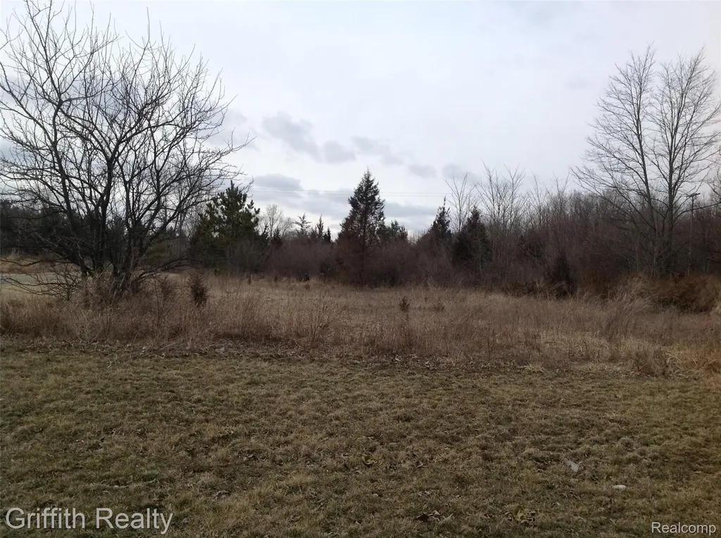 Vl Mason Road Howell Township MI 48843