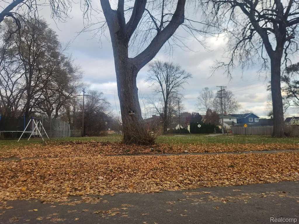 1408 Lansing Detroit City MI 48209