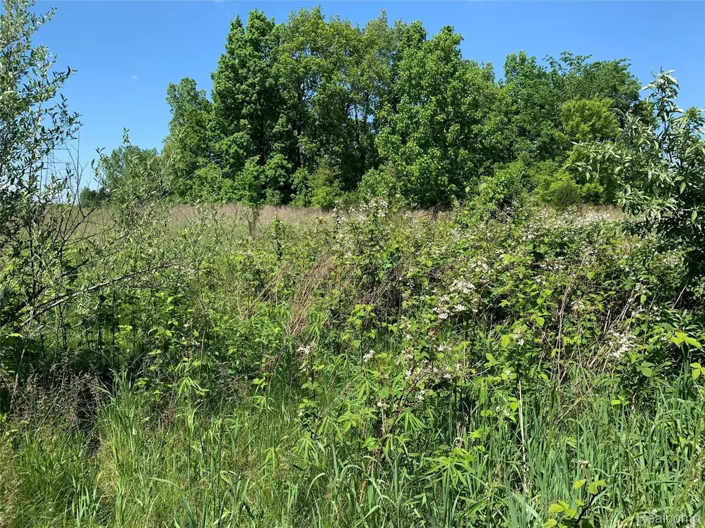 6157 High Valley Drive White Lake Charter Township MI 48383