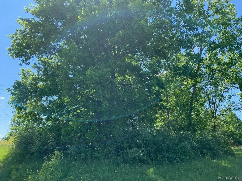 6157 High Valley Drive White Lake Charter Township MI 48383