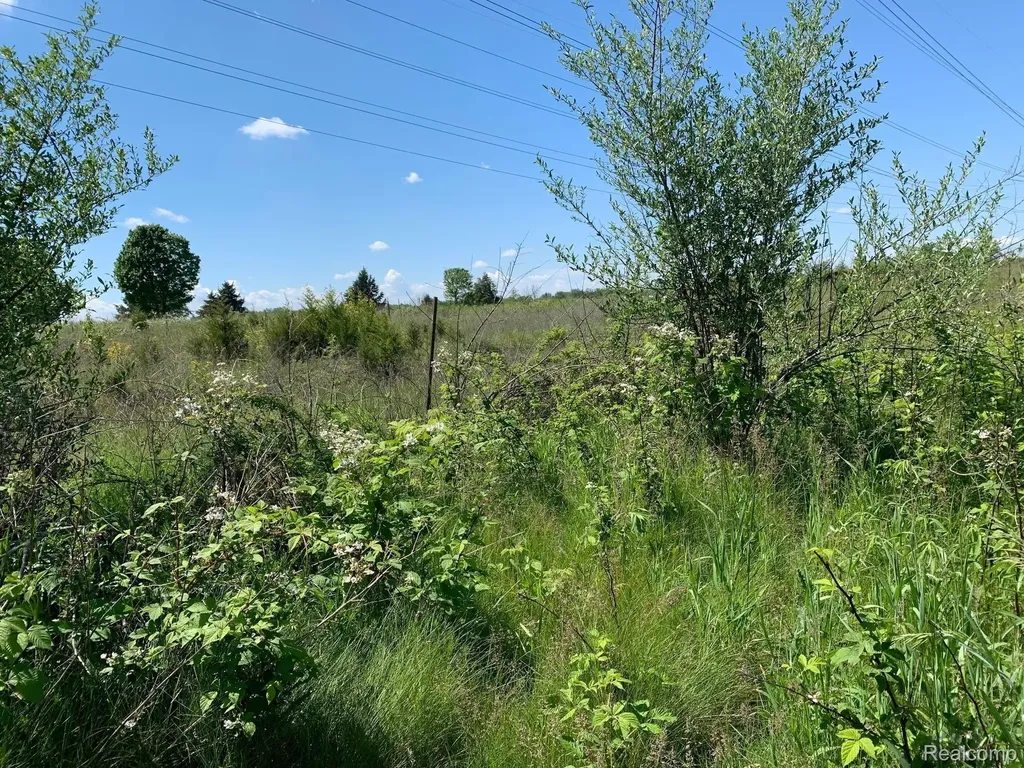 6157 High Valley Drive White Lake Charter Township MI 48383