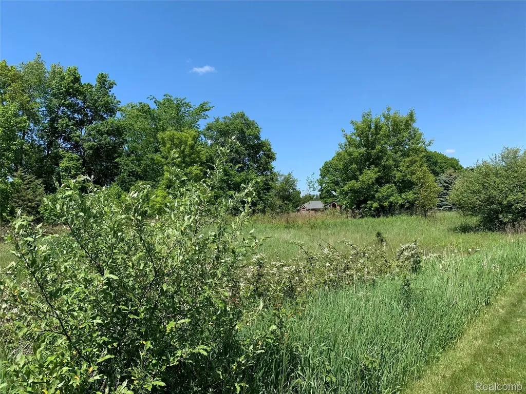 6157 High Valley Drive White Lake Charter Township MI 48383