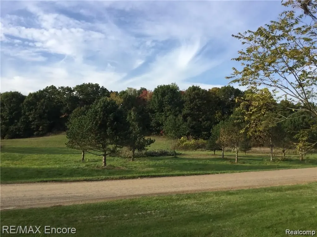 000 Rue De Carolyn Addison Township MI 48370