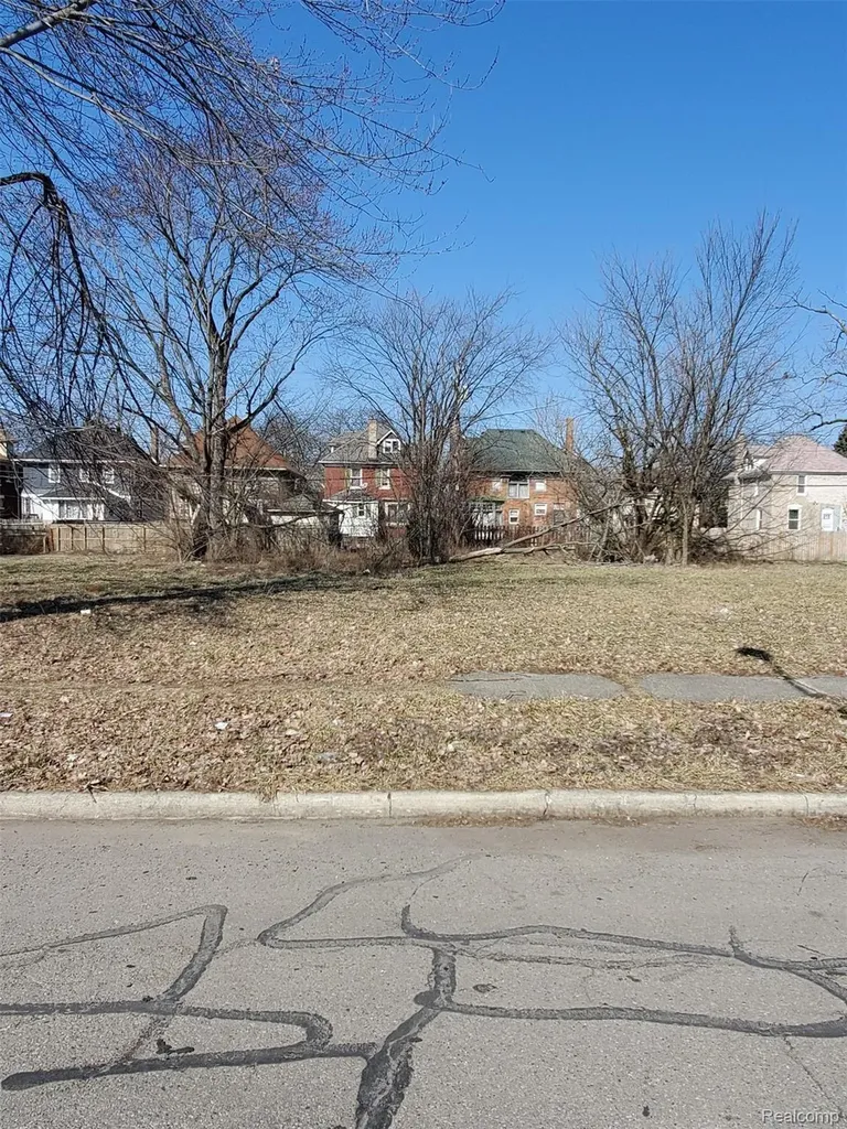 259 Mount Vernon Avenue Detroit City MI 48202