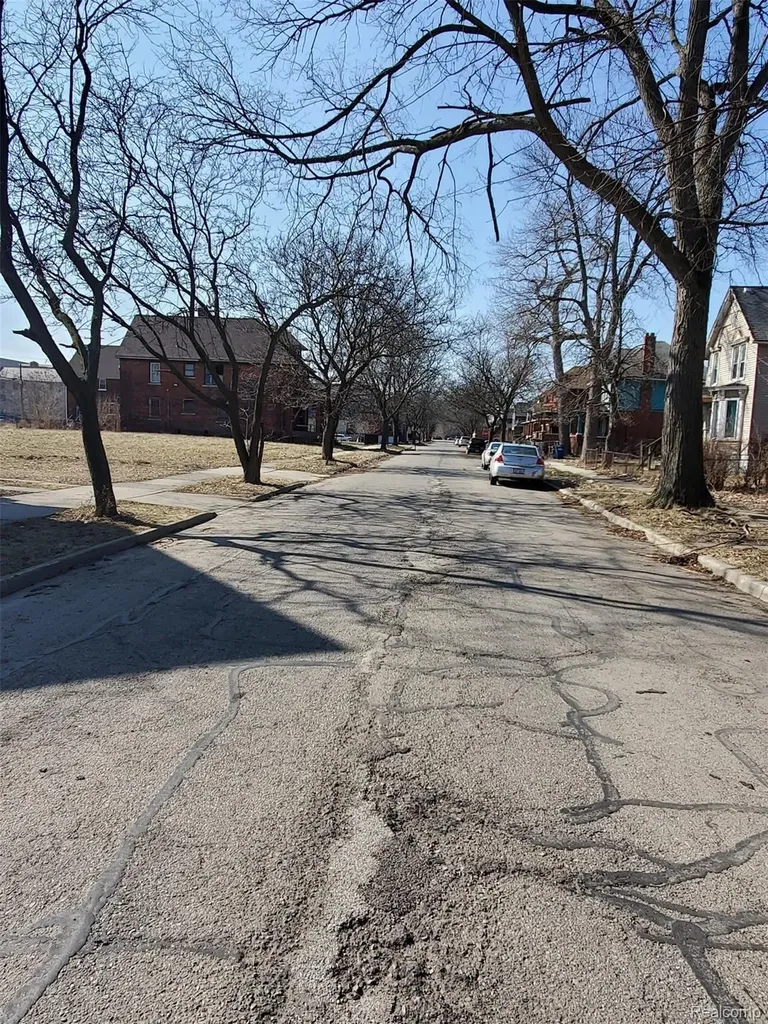 259 Mount Vernon Avenue Detroit City MI 48202