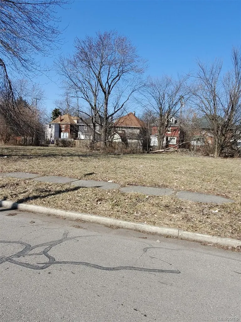 259 Mount Vernon Avenue Detroit City MI 48202