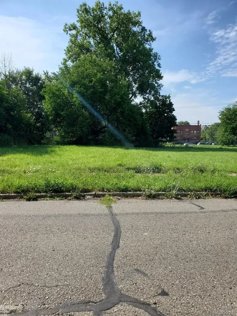 302 Mount Vernon Avenue Detroit City MI 48236