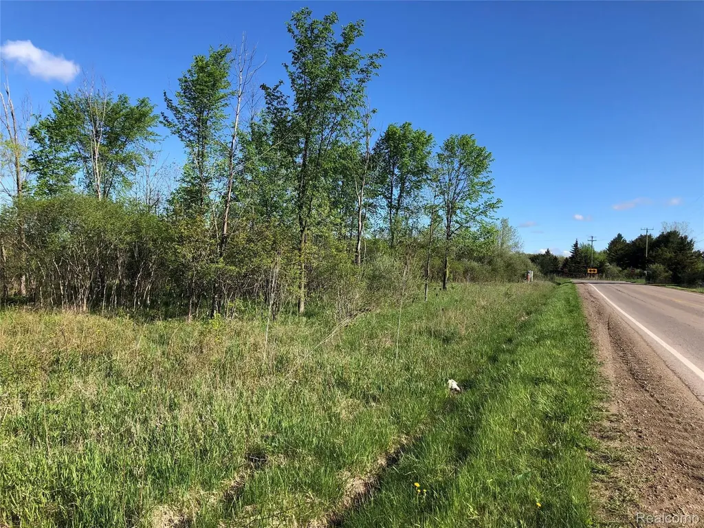 Parcel E Graham Road Imlay Township MI 48444