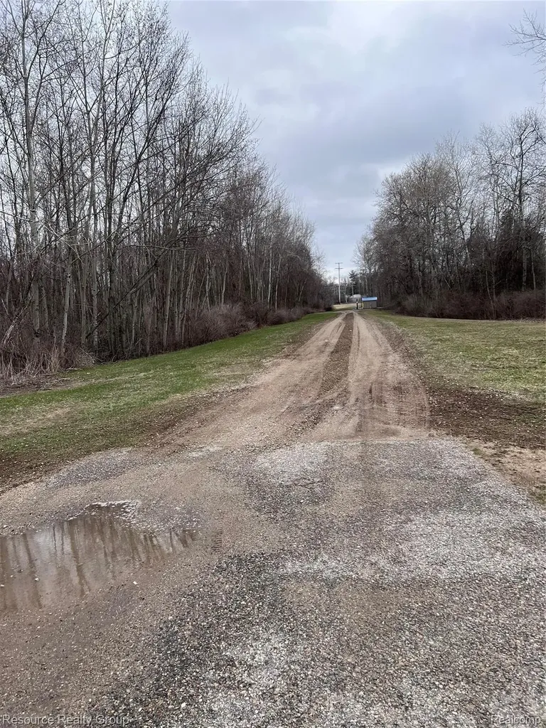 5239 N Coleman Road Coleman City MI 48618
