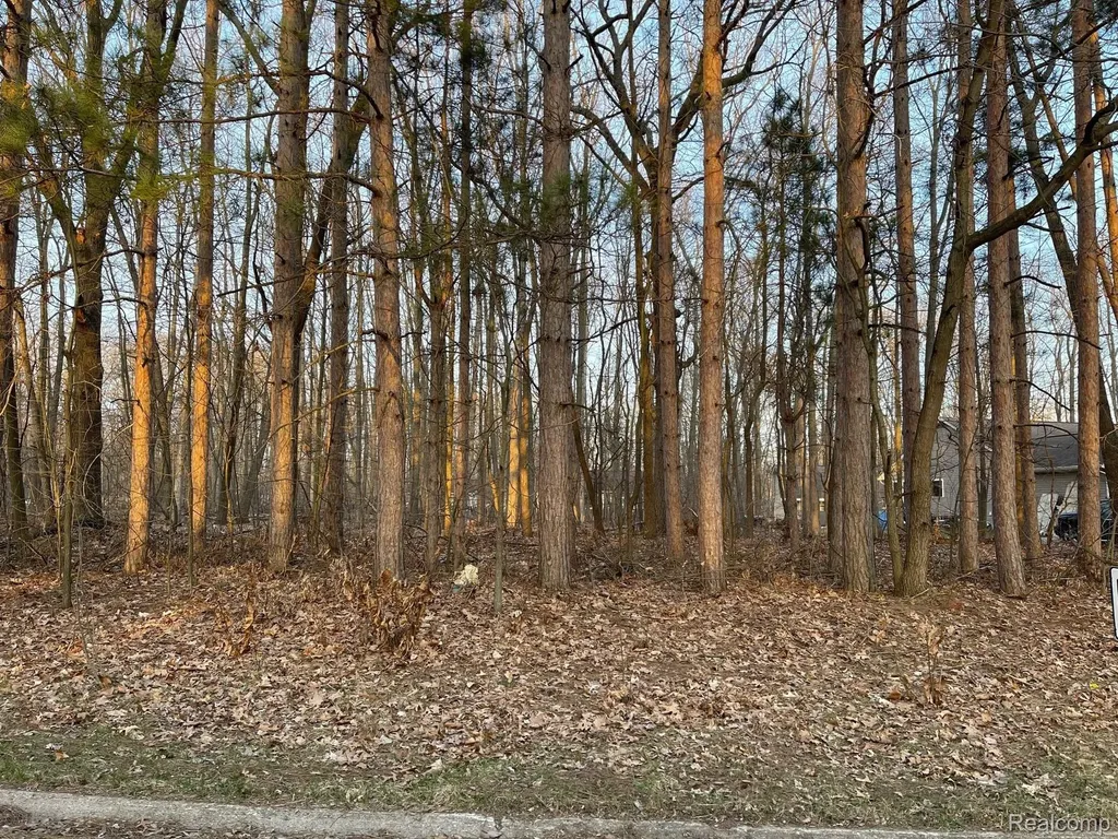 9127 Pineview Lake Argentine Township MI 48451