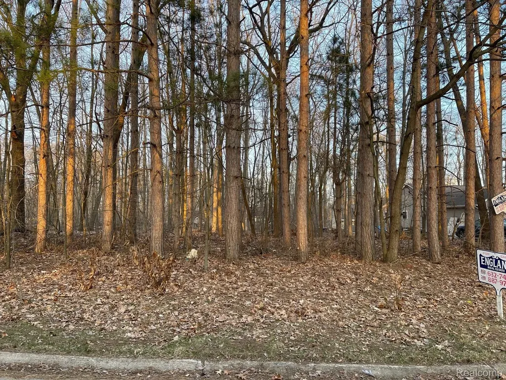 9127 Pineview Lake Argentine Township MI 48451