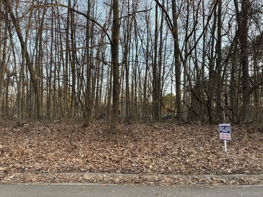 9127 Pineview Lake Argentine Township MI 48451