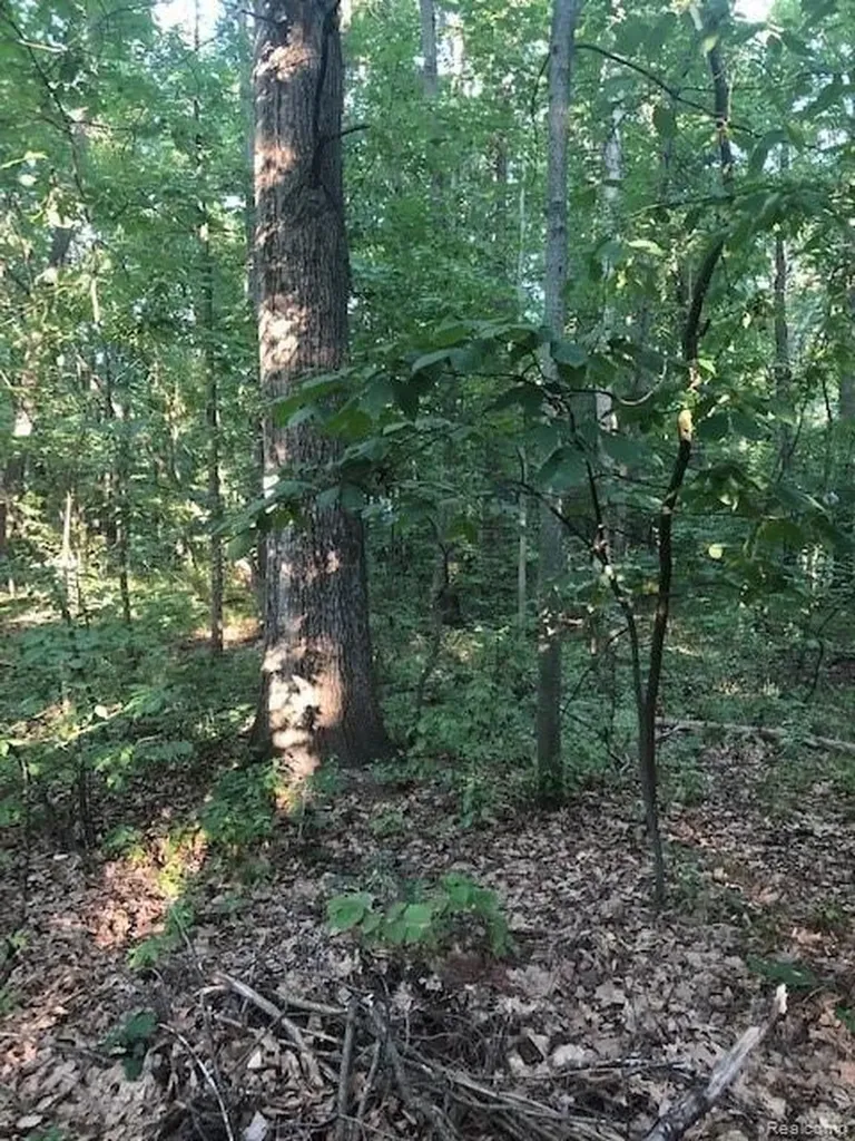 9127 Pineview Lake Argentine Township MI 48451