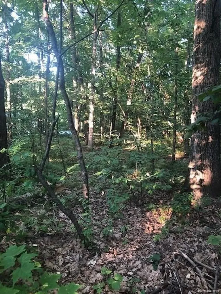 9127 Pineview Lake Argentine Township MI 48451