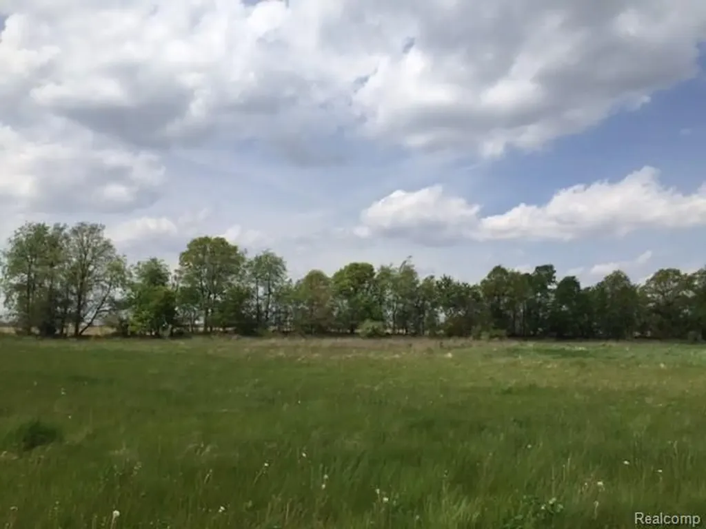 0 Adelines (lot 20) Way Iosco Township MI 48836