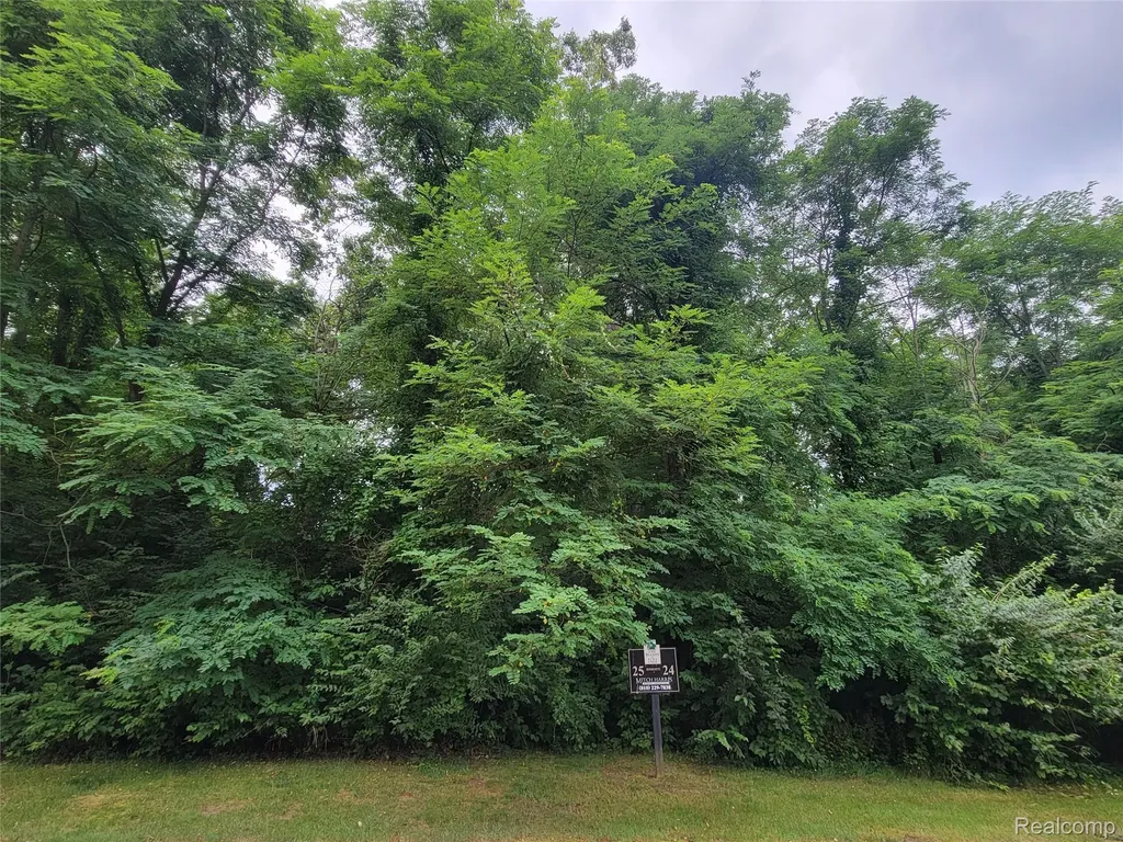 Lot 25 - Rexford Court Hamburg Township MI 48116