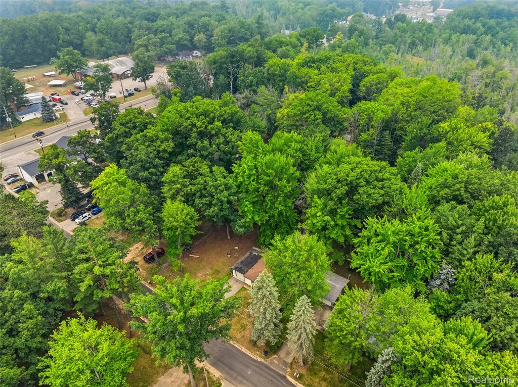 113 Birchwood Avenue Denton Township MI 48651