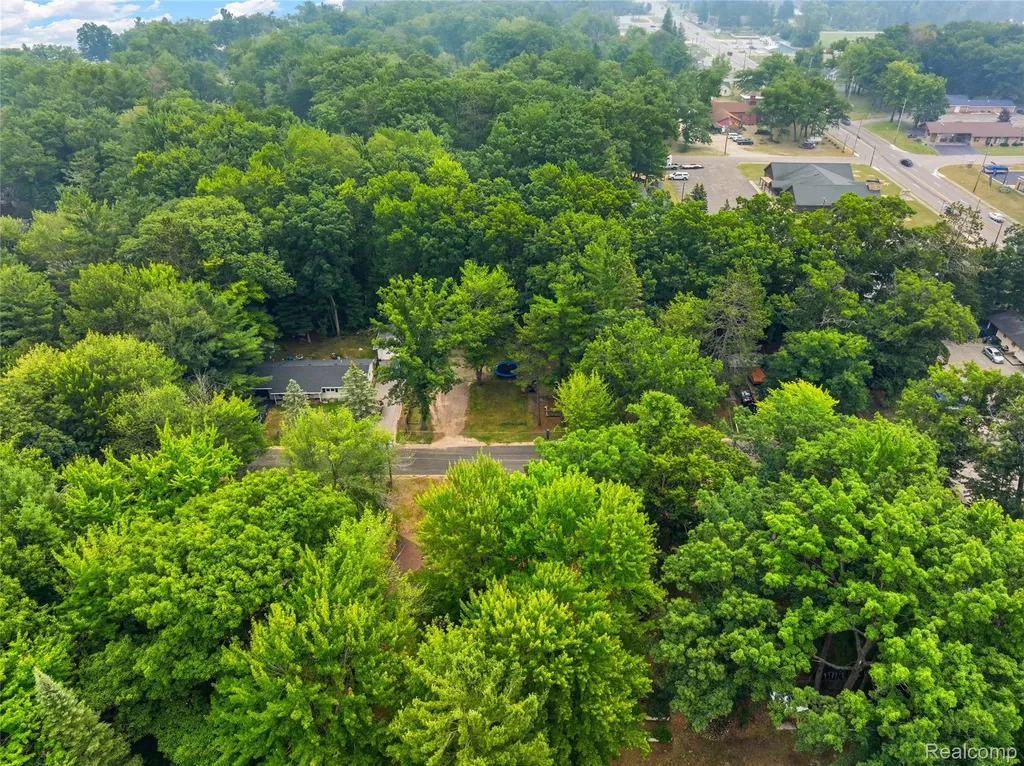 113 Birchwood Avenue Denton Township MI 48651