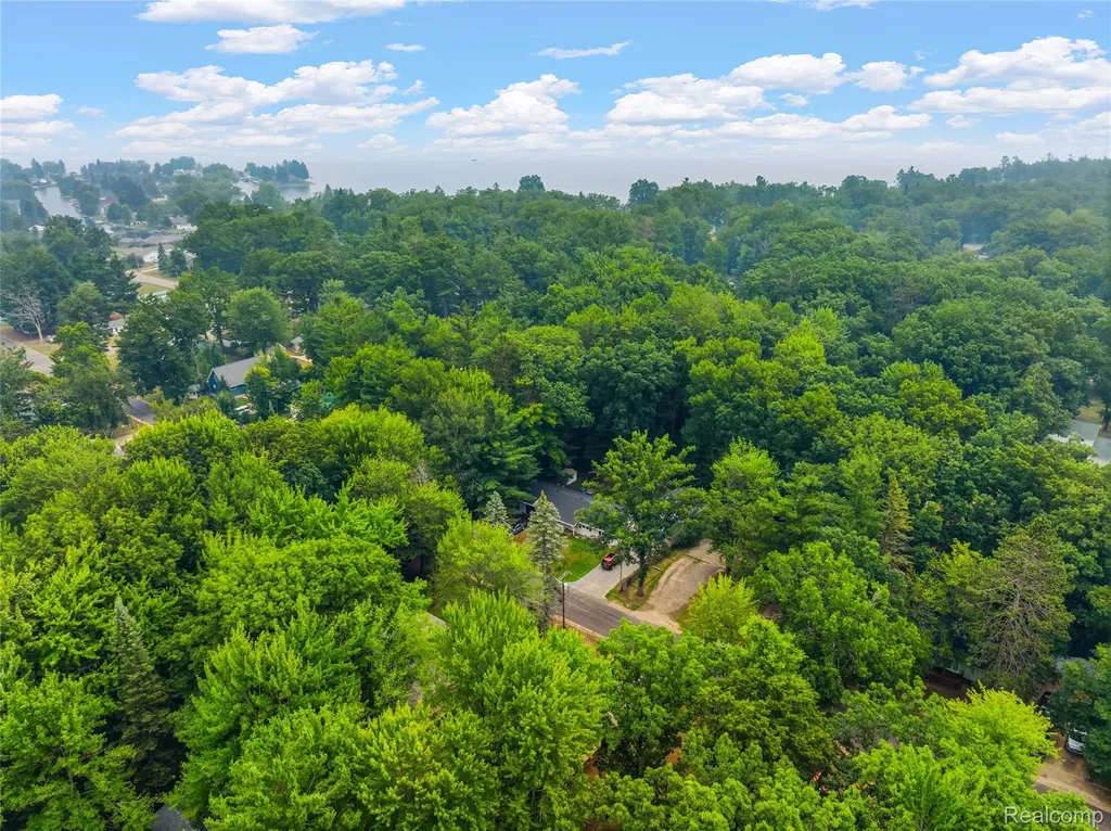 113 Birchwood Avenue Denton Township MI 48651