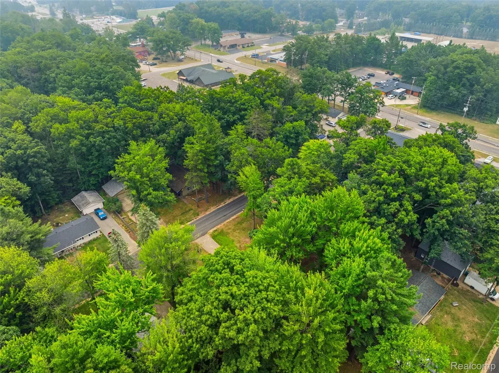 113 Birchwood Avenue Denton Township MI 48651