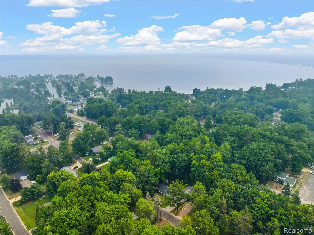 113 Birchwood Avenue Denton Township MI 48651