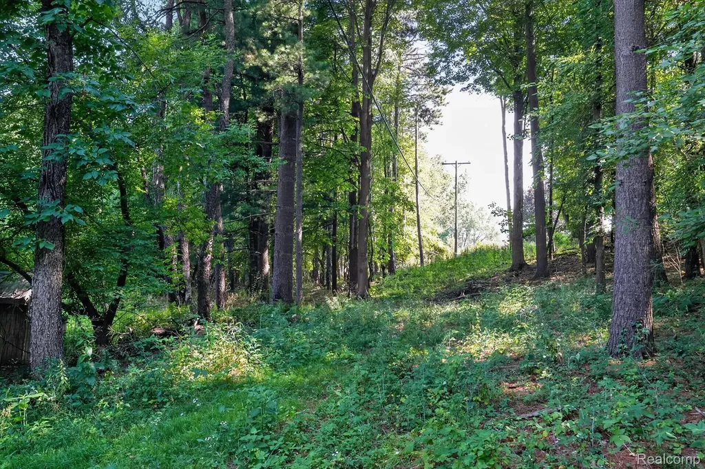 5361 Clark Road Bath Charter Township MI 48808
