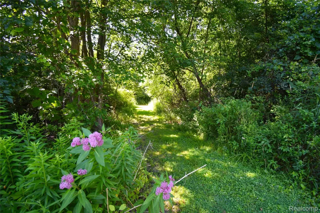 1401 Belle River Road East China Township MI 48054