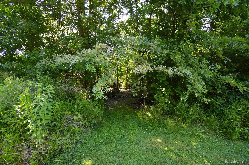 1401 Belle River Road East China Township MI 48054