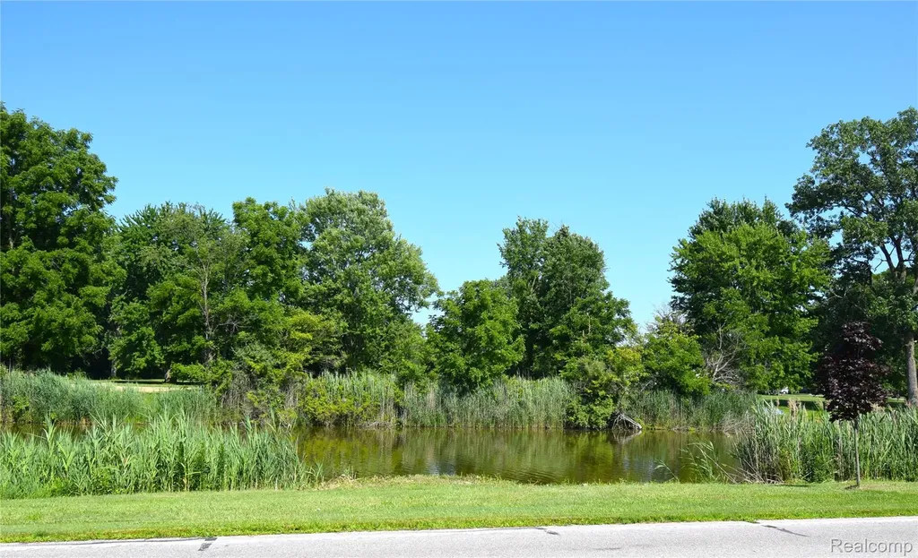 1401 Belle River Road East China Township MI 48054