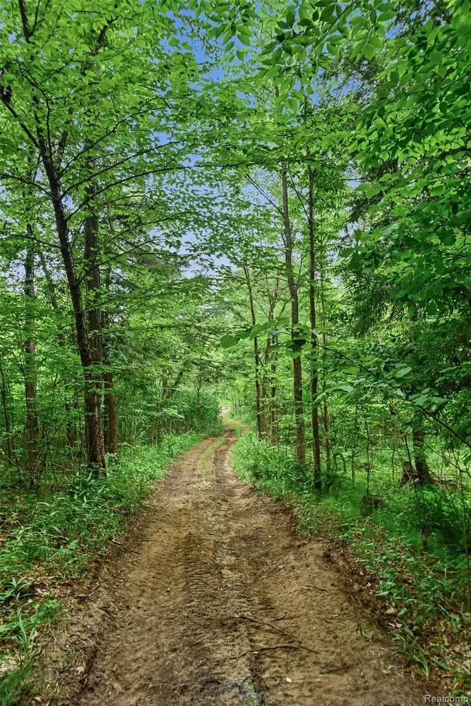 1646 Boy Scout Road Indianfields Township MI 48723