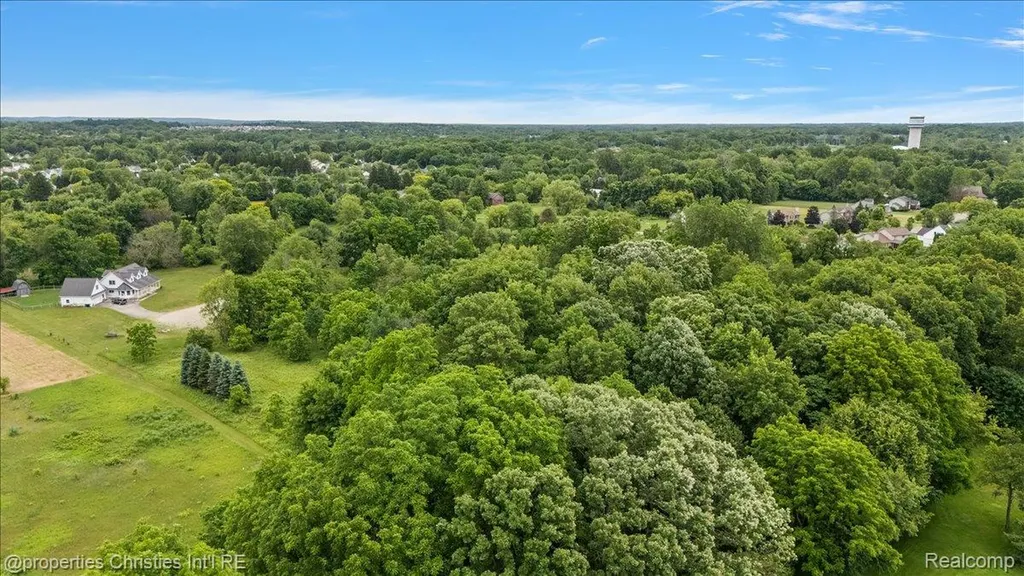 22150 Donnas Drive Lyon Charter Township MI 48178