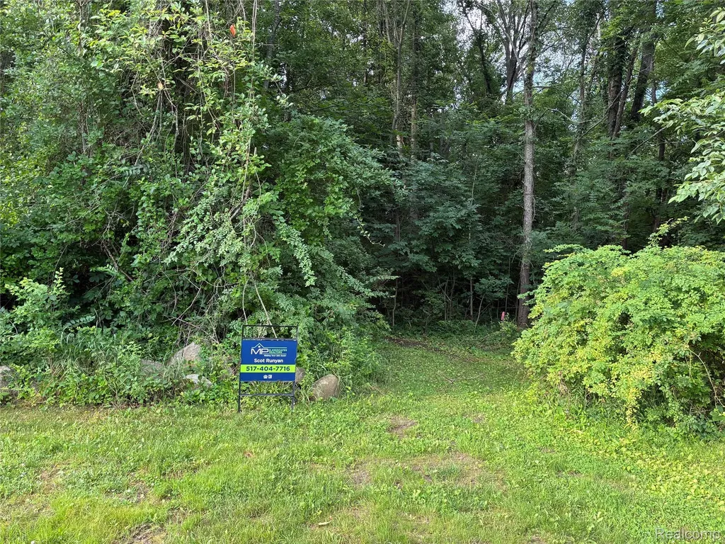 0 E East Allen Road Oceola Township MI 48855