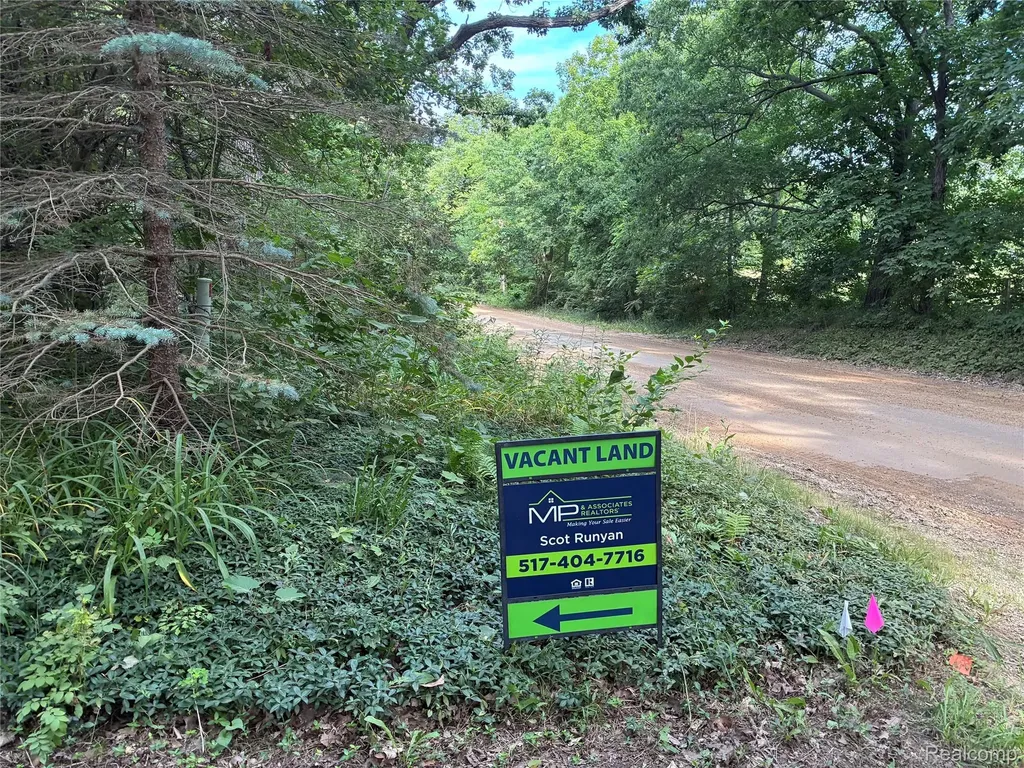 0 E East Allen Road Oceola Township MI 48855