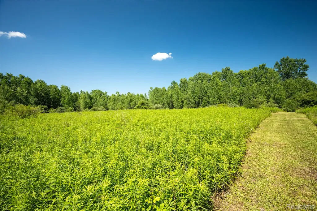 00 Hagerman Road Addison Township MI 48367