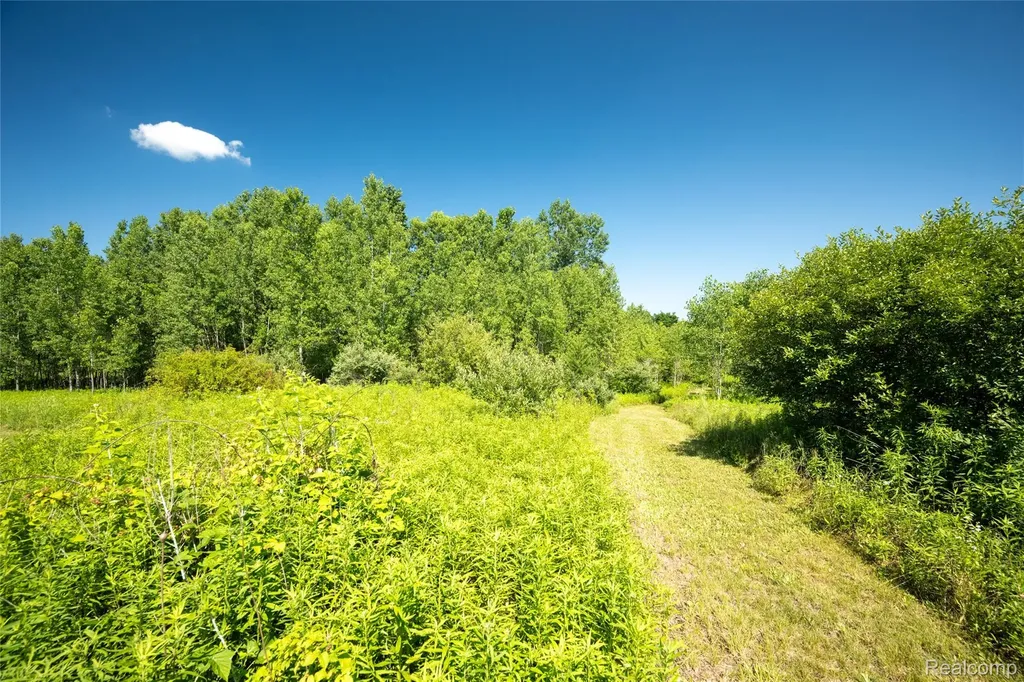 00 Hagerman Road Addison Township MI 48367