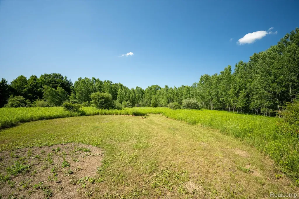 00 Hagerman Road Addison Township MI 48367