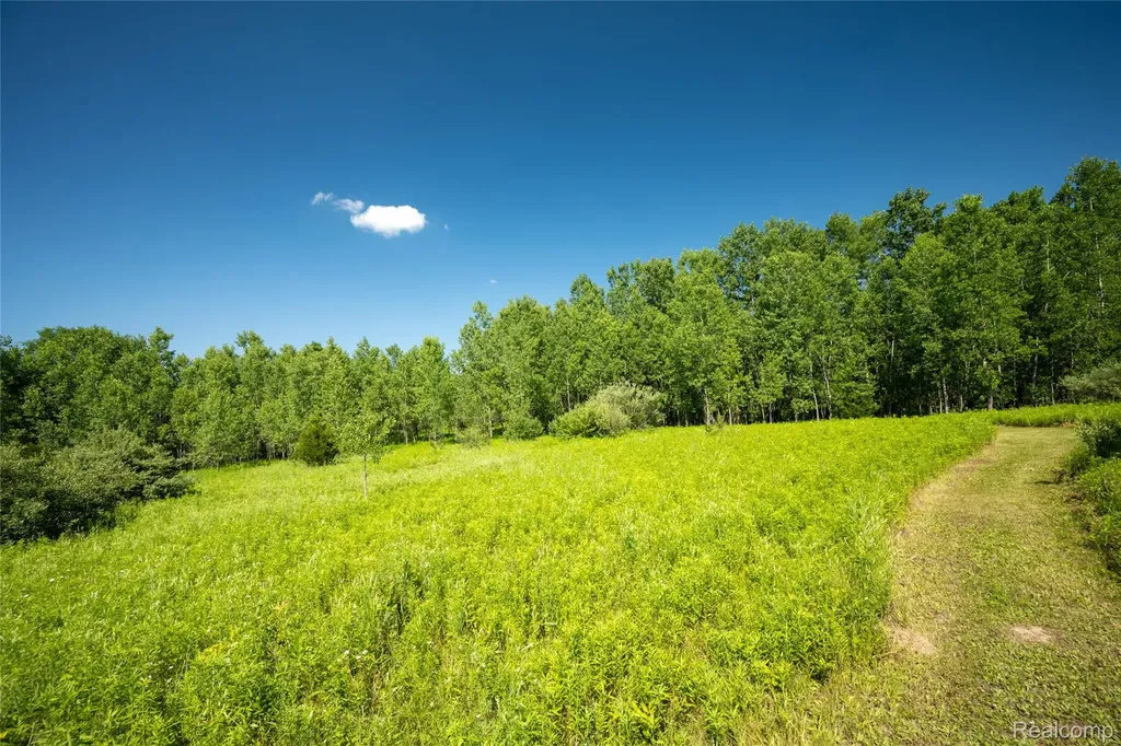 00 Hagerman Road Addison Township MI 48367