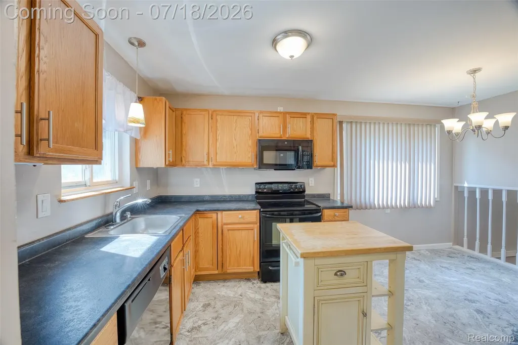 14801 Greenbriar Court Plymouth Charter Township MI 48170