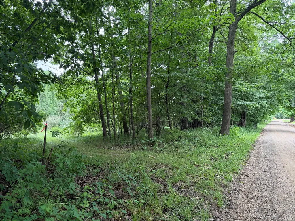 0 Stanton Lake Road Arcadia Township MI 48412