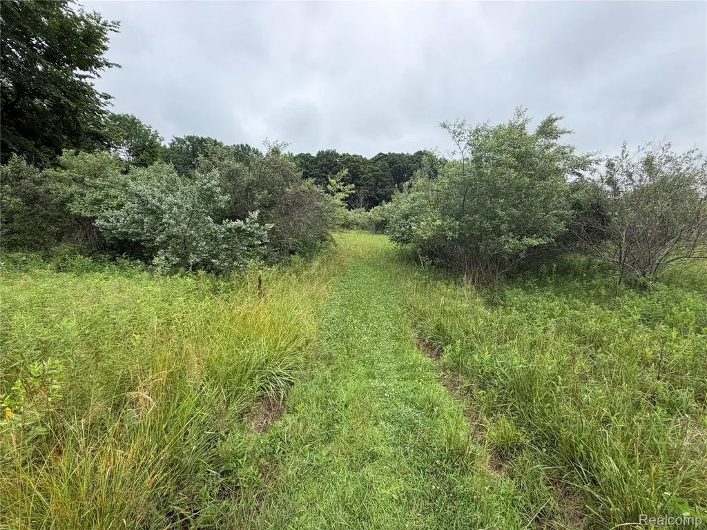 0 Stanton Lake Road Arcadia Township MI 48412